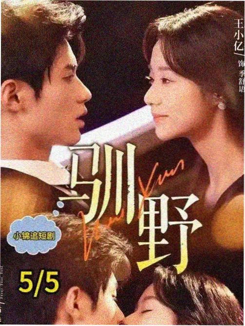 回声档案 刑侦剧集封面